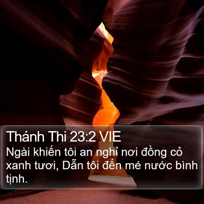Thánh Thi 23:2 VIE Bible Verse Image