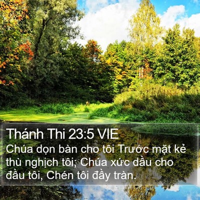 Thánh Thi 23:5 VIE Bible Verse Image
