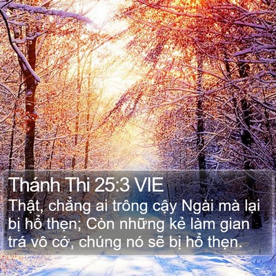 Thánh Thi 25:3 VIE Bible Verse Image