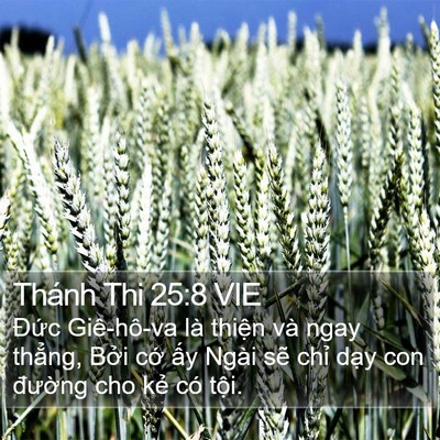 Thánh Thi 25:8 VIE Bible Verse Image