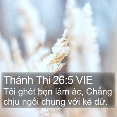 Thánh Thi 26:5 VIE Bible Verse Image
