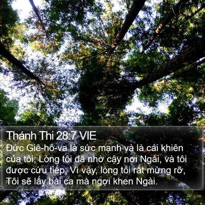 Thánh Thi 28:7 VIE Bible Verse Image