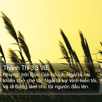 Thánh Thi 3:3 VIE Bible Verse Image