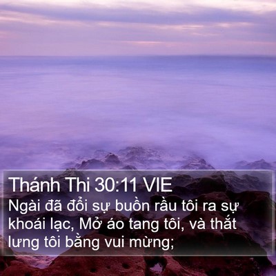 Thánh Thi 30:11 VIE Bible Verse Image