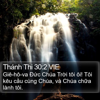 Thánh Thi 30:2 VIE Bible Verse Image