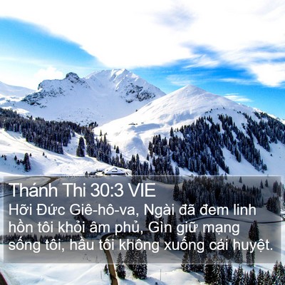Thánh Thi 30:3 VIE Bible Verse Image