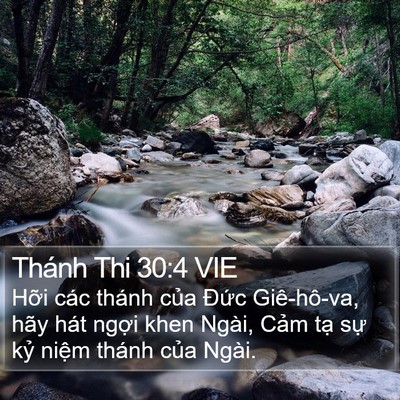 Thánh Thi 30:4 VIE Bible Verse Image