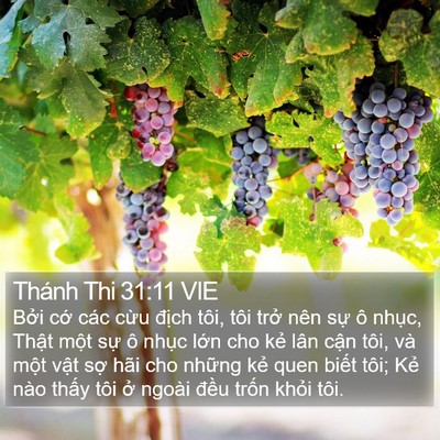 Thánh Thi 31:11 VIE Bible Verse Image