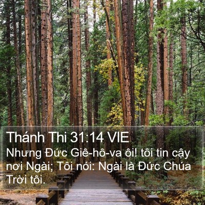 Thánh Thi 31:14 VIE Bible Verse Image