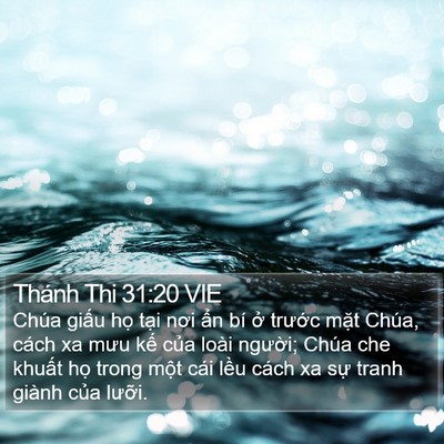 Thánh Thi 31:20 VIE Bible Verse Image
