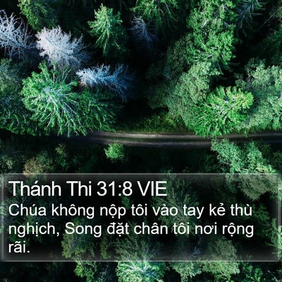 Thánh Thi 31:8 VIE Bible Verse Image