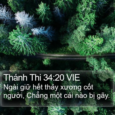 Thánh Thi 34:20 VIE Bible Verse Image