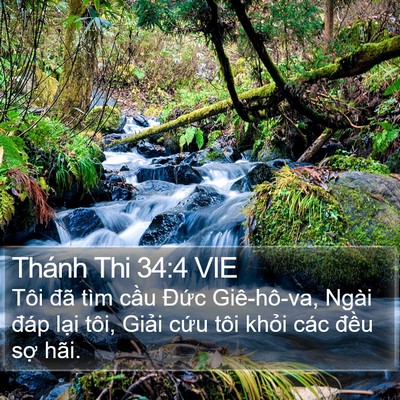 Thánh Thi 34:4 VIE Bible Verse Image