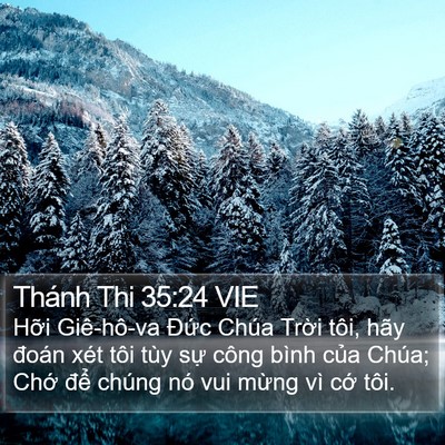 Thánh Thi 35:24 VIE Bible Verse Image