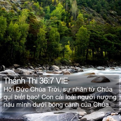 Thánh Thi 36:7 VIE Bible Verse Image