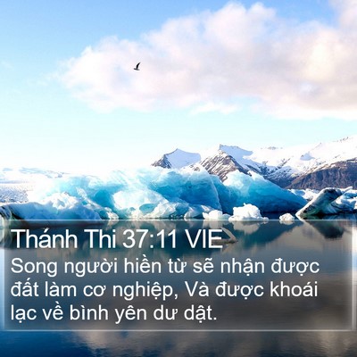 Thánh Thi 37:11 VIE Bible Verse Image