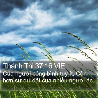 Thánh Thi 37:16 VIE Bible Verse Image
