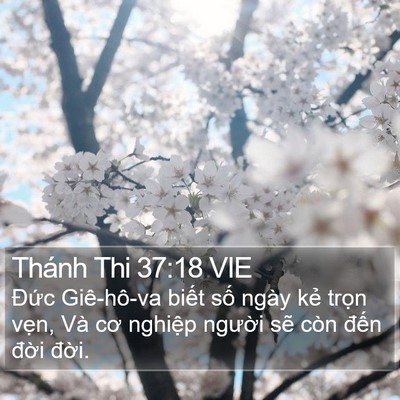 Thánh Thi 37:18 VIE Bible Verse Image