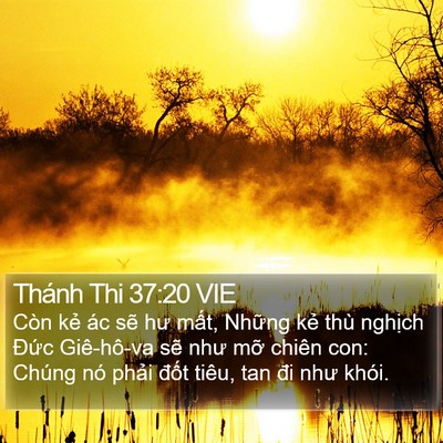 Thánh Thi 37:20 VIE Bible Verse Image