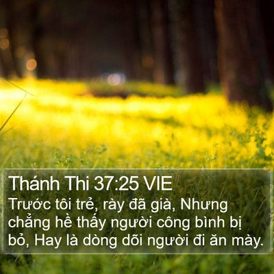 Thánh Thi 37:25 VIE Bible Verse Image