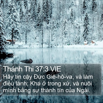 Thánh Thi 37:3 VIE Bible Verse Image