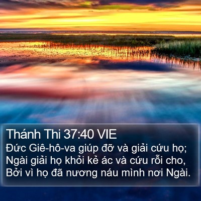 Thánh Thi 37:40 VIE Bible Verse Image