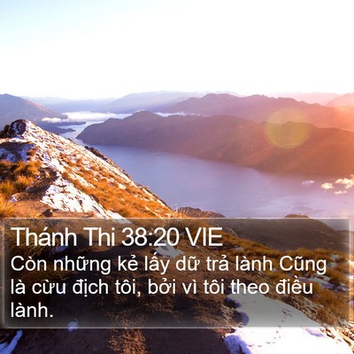 Thánh Thi 38:20 VIE Bible Verse Image