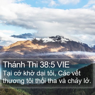 Thánh Thi 38:5 VIE Bible Verse Image