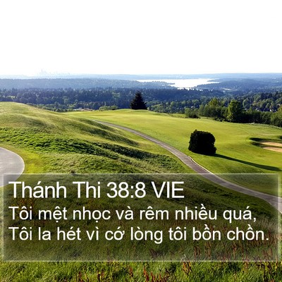 Thánh Thi 38:8 VIE Bible Verse Image