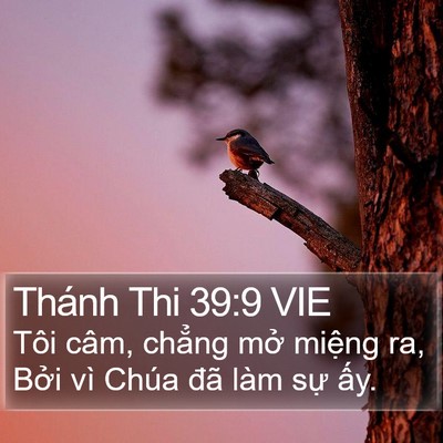 Thánh Thi 39:9 VIE Bible Verse Image