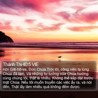 Thánh Thi 40:5 VIE Bible Verse Image