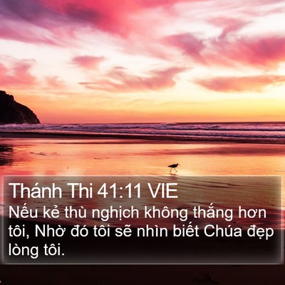 Thánh Thi 41:11 VIE Bible Verse Image