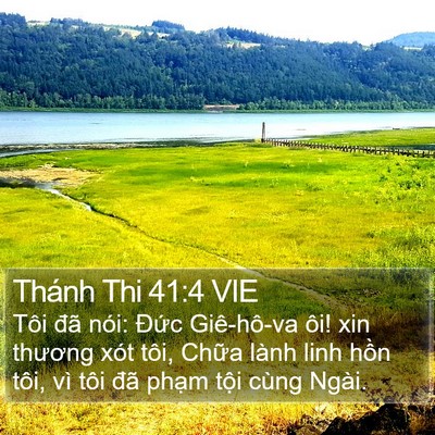 Thánh Thi 41:4 VIE Bible Verse Image