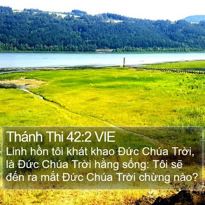 Thánh Thi 42:2 VIE Bible Verse Image