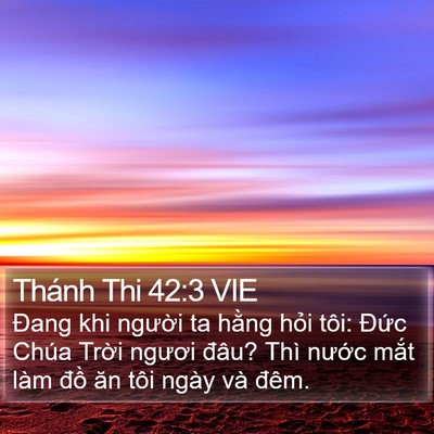 Thánh Thi 42:3 VIE Bible Verse Image