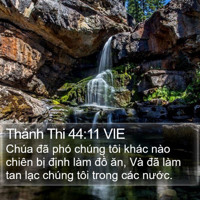 Thánh Thi 44:11 VIE Bible Verse Image