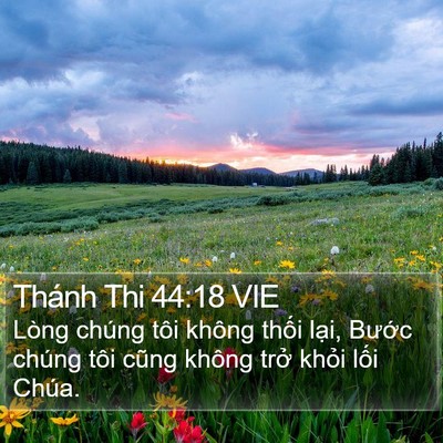 Thánh Thi 44:18 VIE Bible Verse Image
