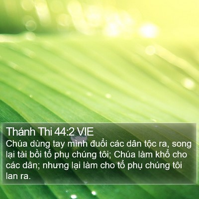 Thánh Thi 44:2 VIE Bible Verse Image