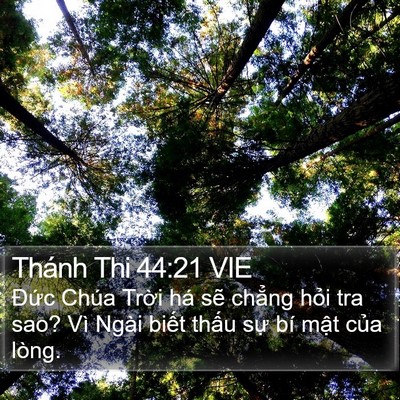 Thánh Thi 44:21 VIE Bible Verse Image