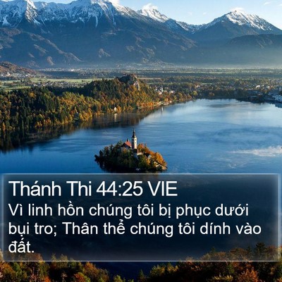 Thánh Thi 44:25 VIE Bible Verse Image