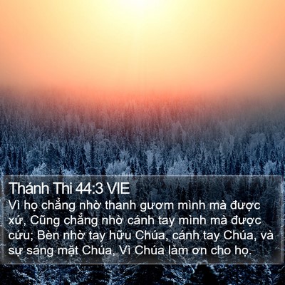 Thánh Thi 44:3 VIE Bible Verse Image