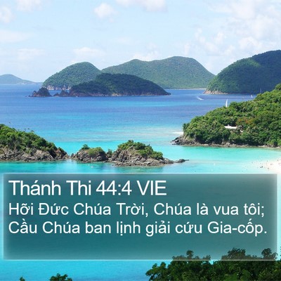 Thánh Thi 44:4 VIE Bible Verse Image