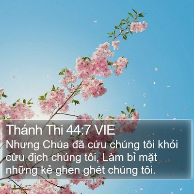 Thánh Thi 44:7 VIE Bible Verse Image