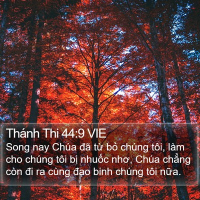Thánh Thi 44:9 VIE Bible Verse Image