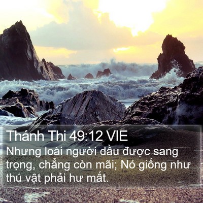 Thánh Thi 49:12 VIE Bible Verse Image