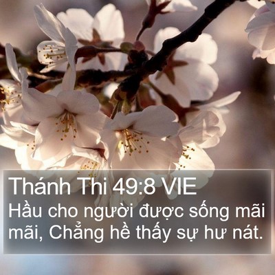 Thánh Thi 49:8 VIE Bible Verse Image