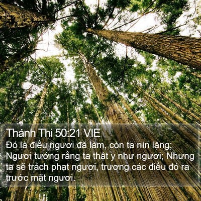 Thánh Thi 50:21 VIE Bible Verse Image