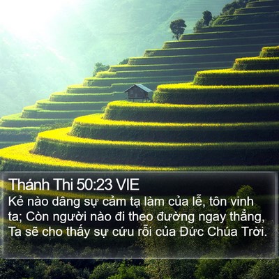 Thánh Thi 50:23 VIE Bible Verse Image