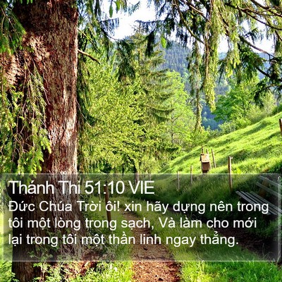 Thánh Thi 51:10 VIE Bible Verse Image