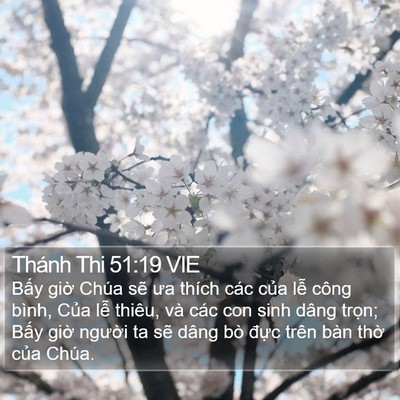 Thánh Thi 51:19 VIE Bible Verse Image